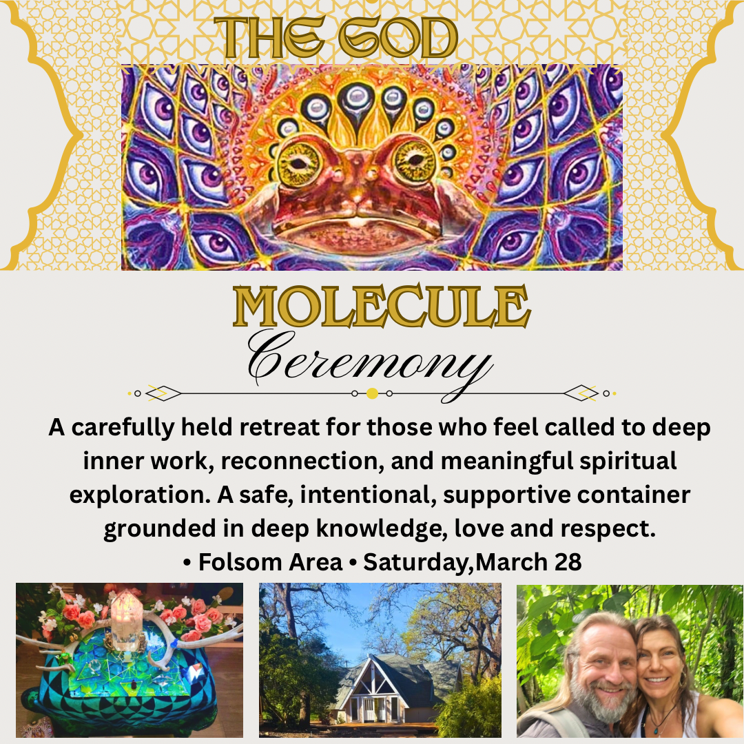 Embodied Temple Healing Facebook ad