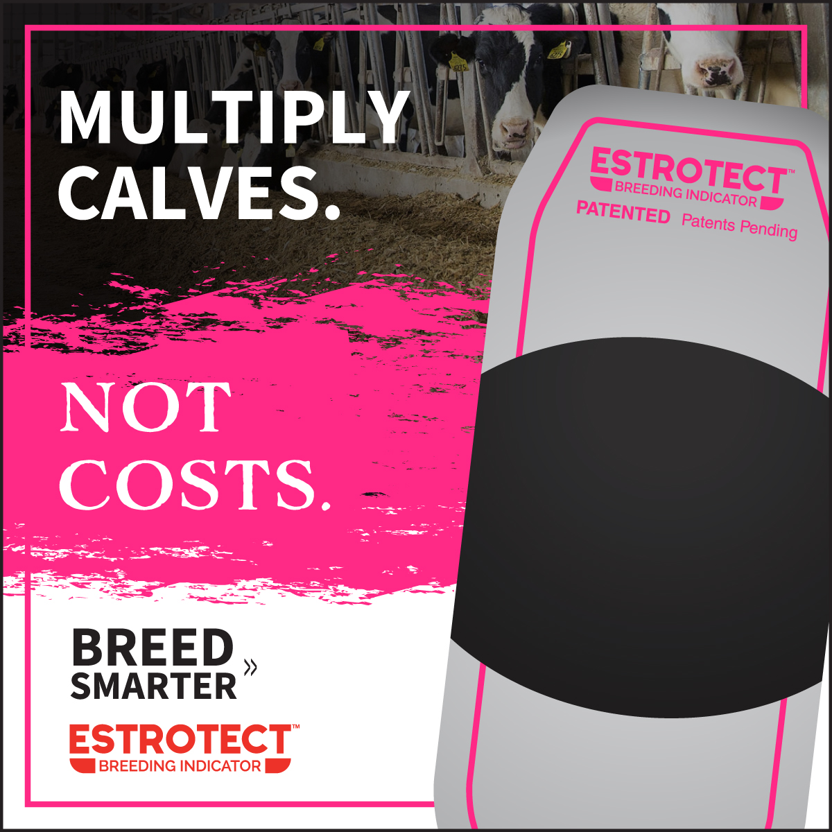 Estrotect Breeding Indicators Facebook ad