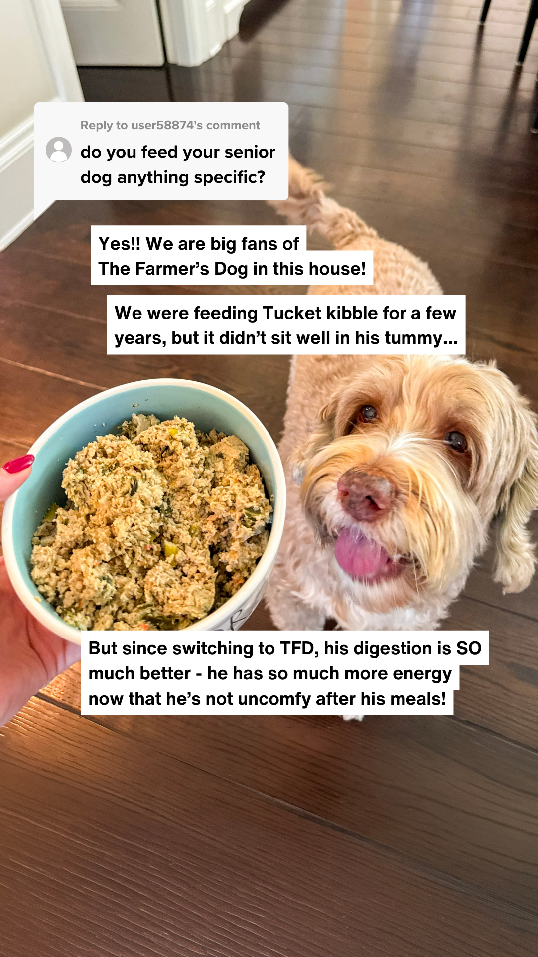 Rounds Of A Paws Facebook ad