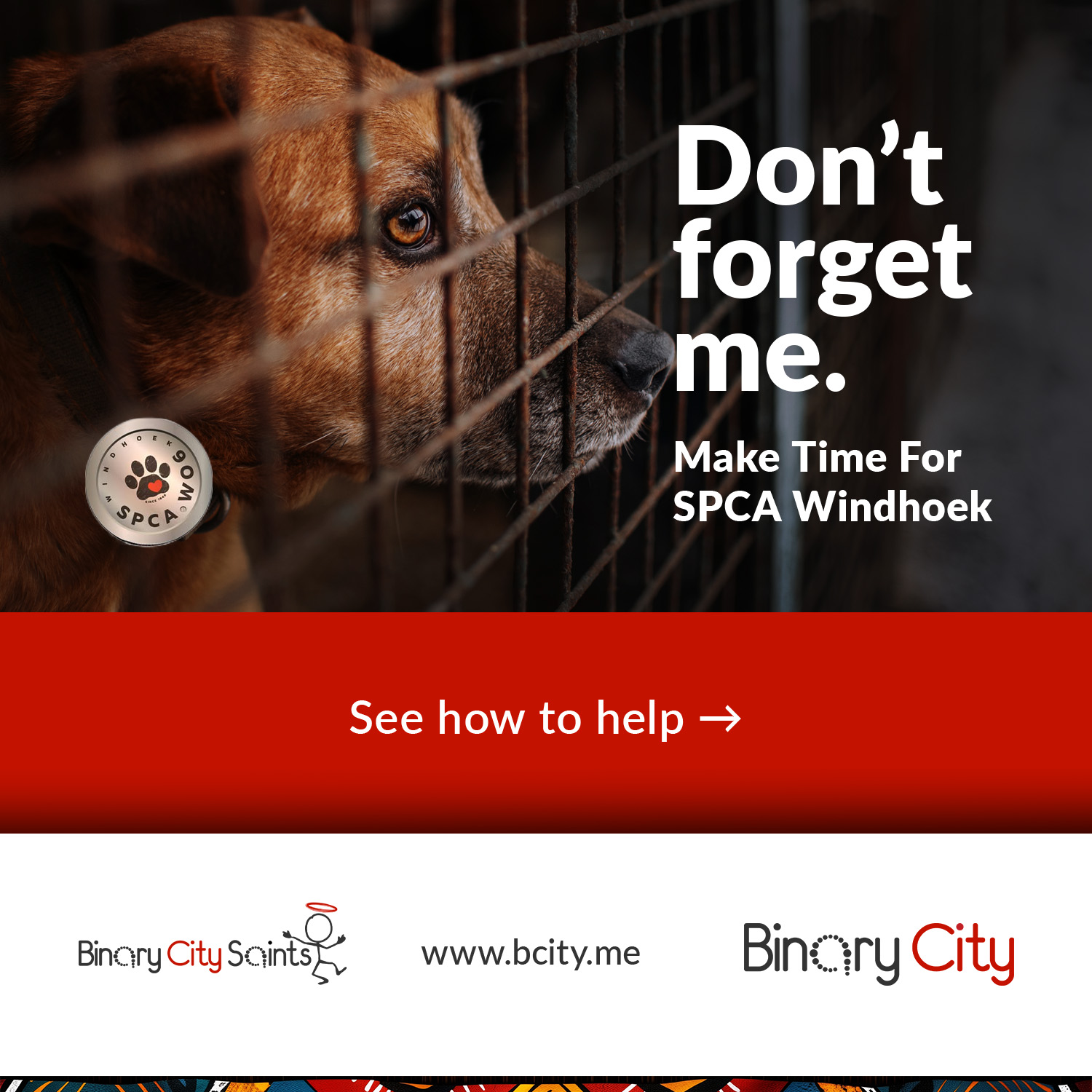 Binary City Facebook ad: Support SPCA Windhoek with us.