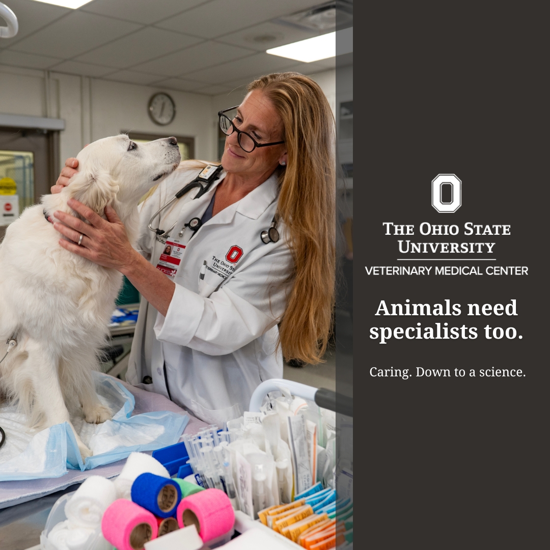 The Ohio State University Veterinary Medical Center Facebook ad: Animals need specialists too.
