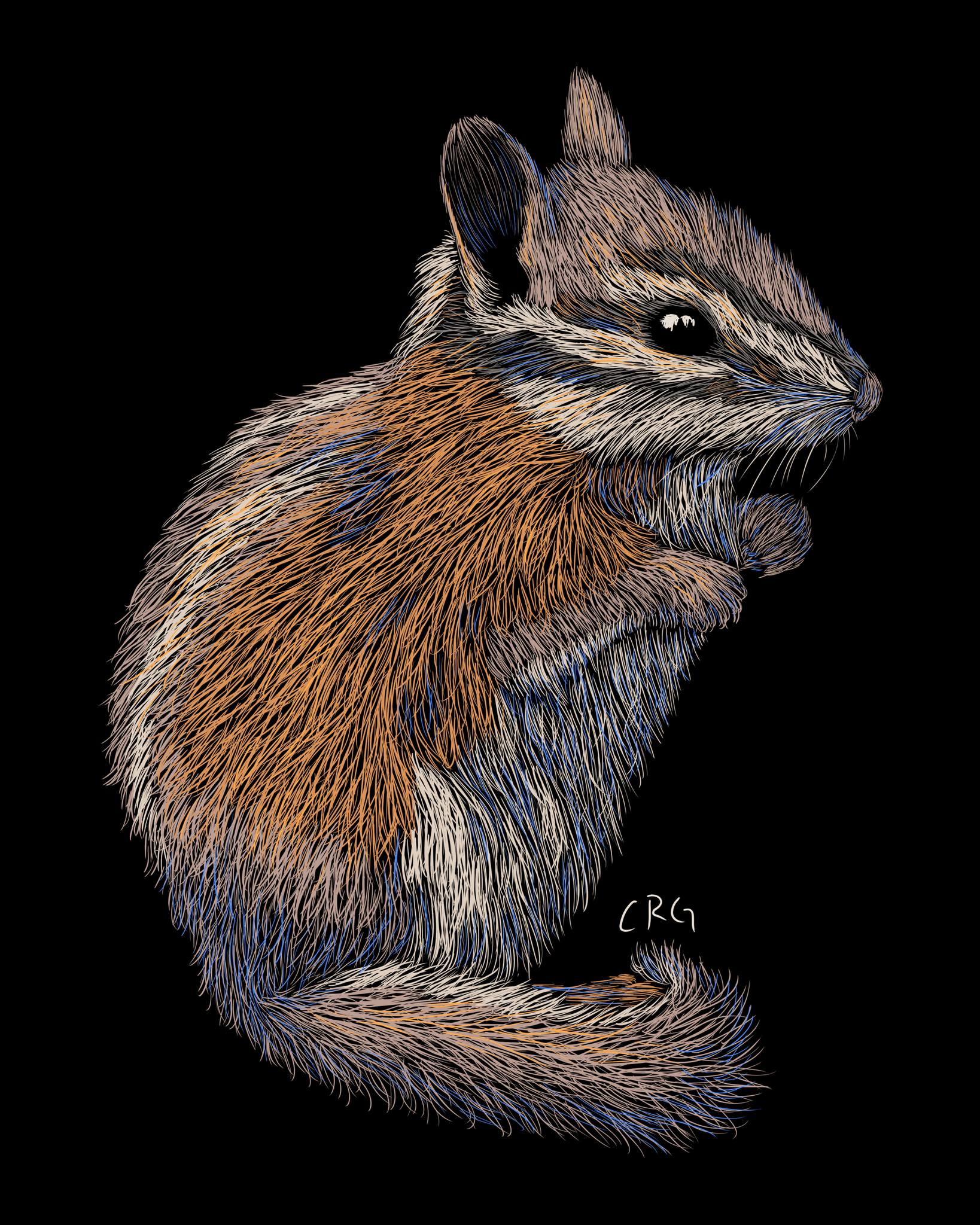 Walking in Nature Facebook ad: Chipmunks! They are important for seed dispersal.