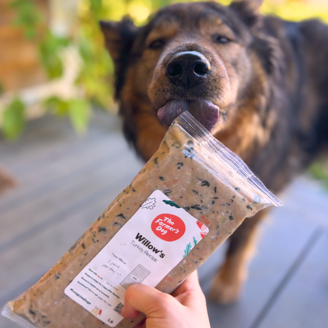 The Farmer's Dog Facebook ad