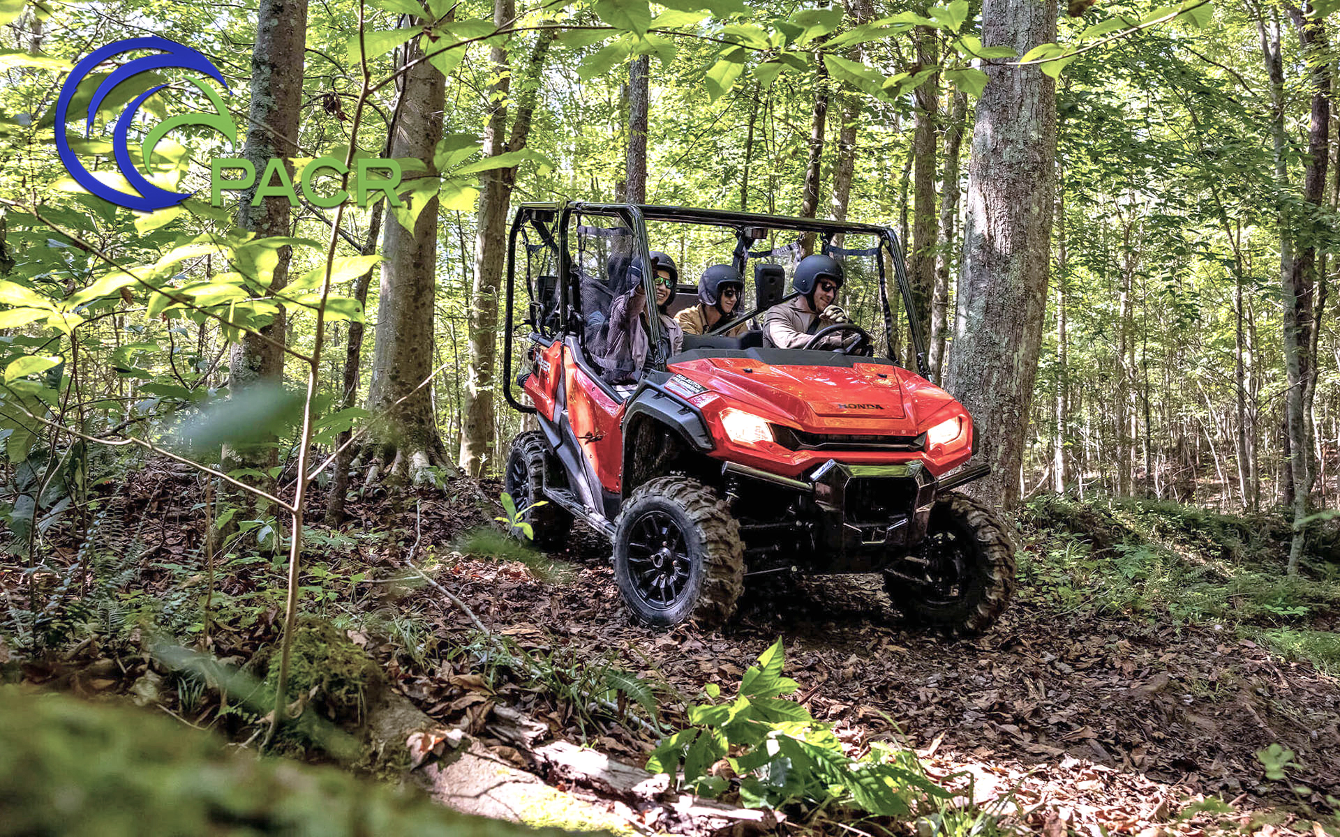 Paradise Adventures Costa Rica Facebook ad: Experience the best of Costa Rica with our…