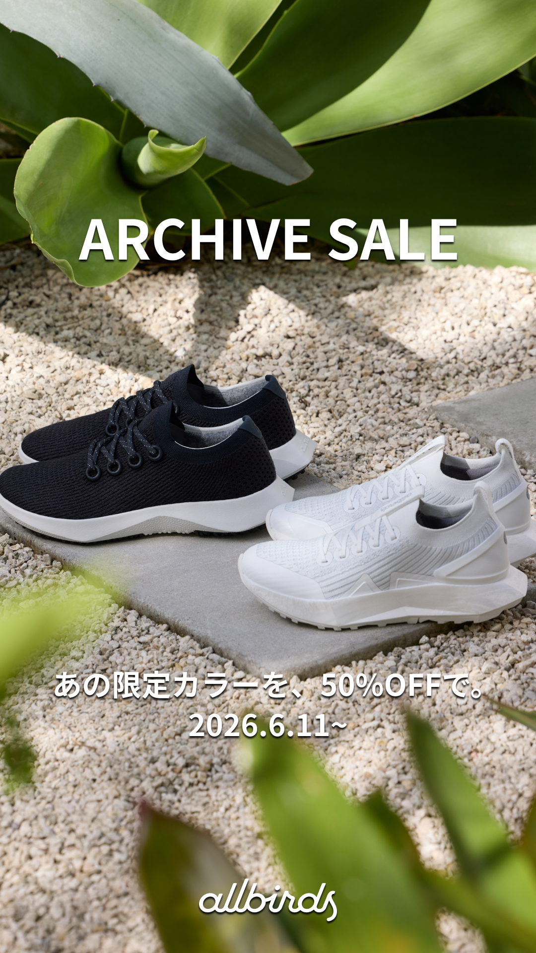 Allbirds Japan Facebook ad