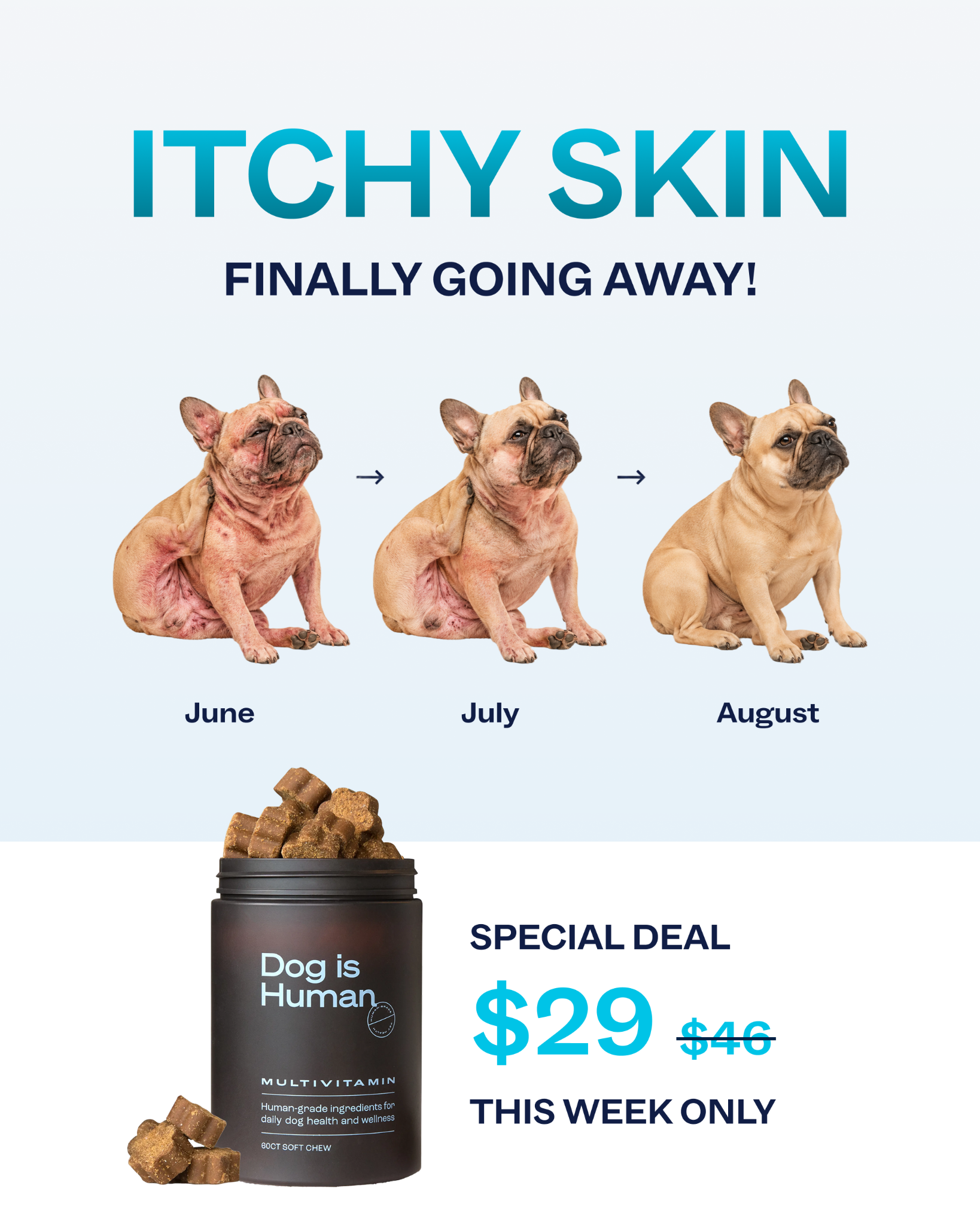 Dog is Human Facebook ad