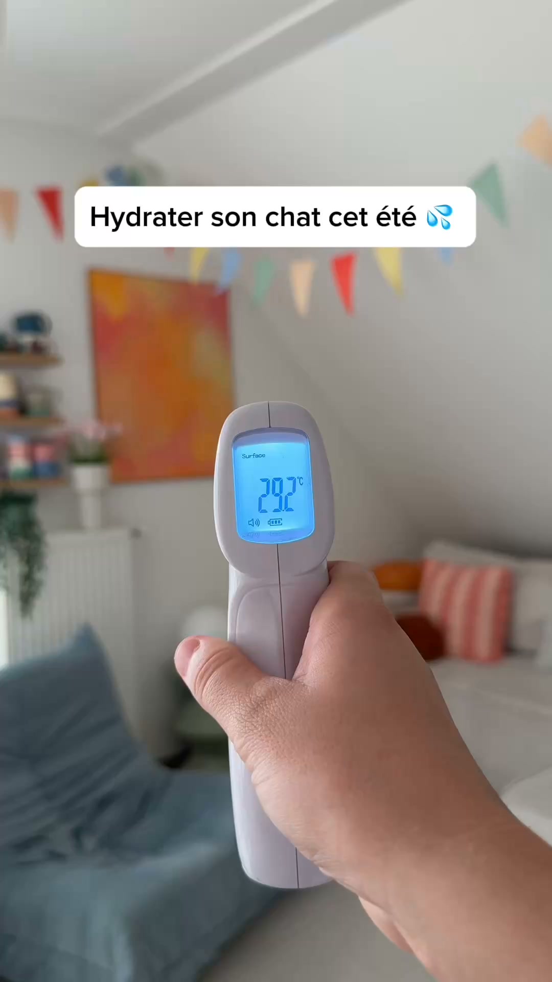 Franklin Pet Food Facebook ad: Des mini tubes crémeux pour l'été