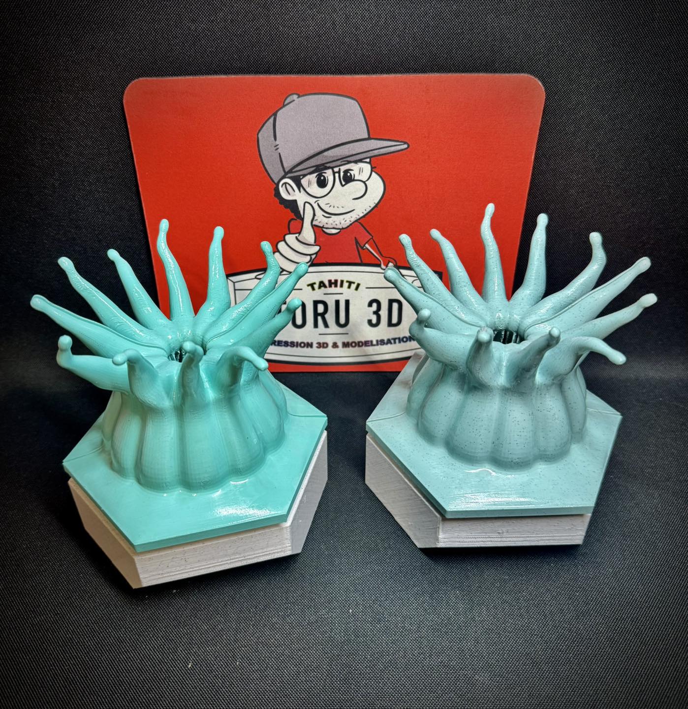 Toru 3D - Impression 3D à Tahiti Facebook ad: Maquette de polype corallien, Sensibilisation à la…
