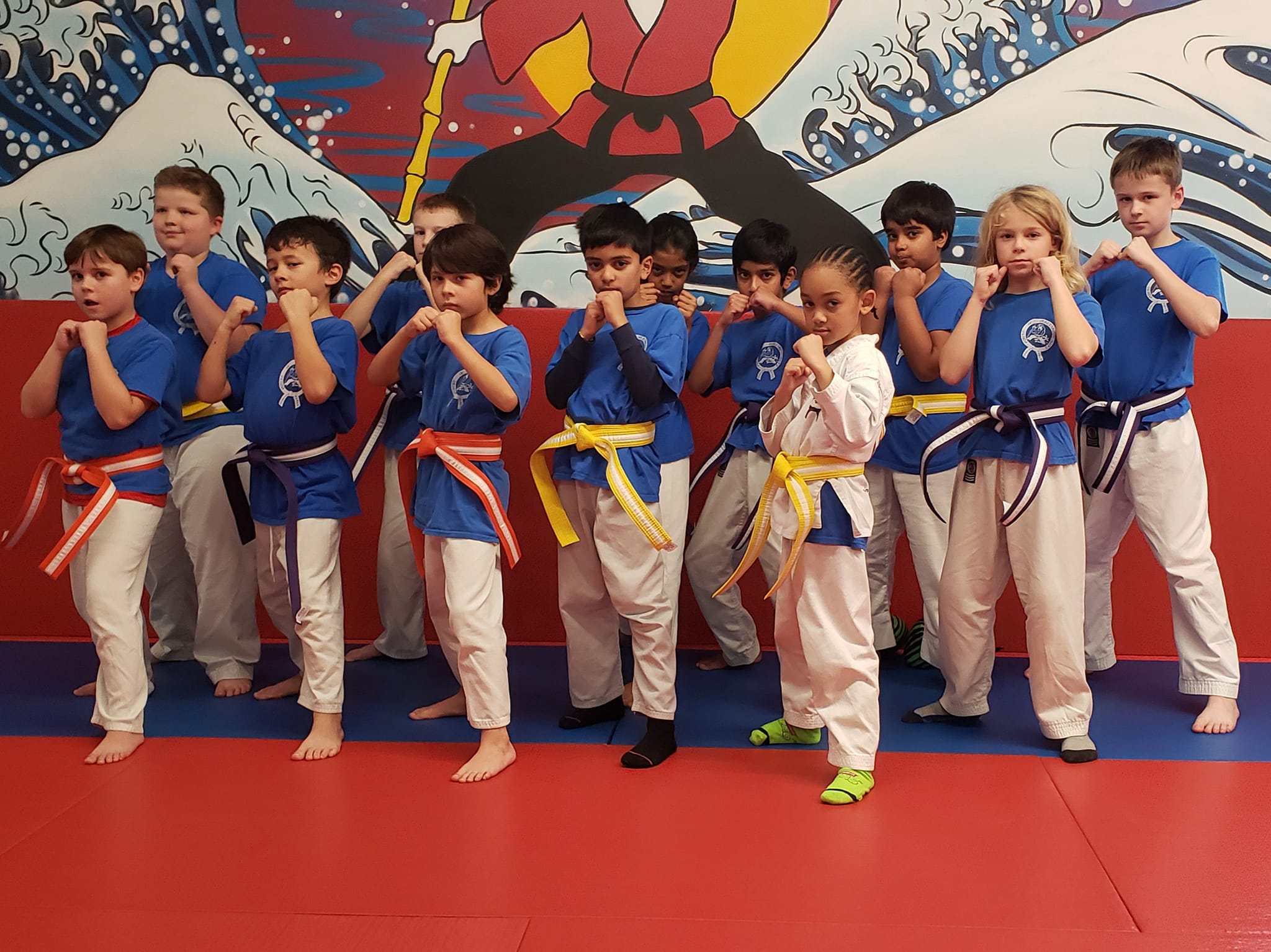 House of Martial Arts Facebook ad