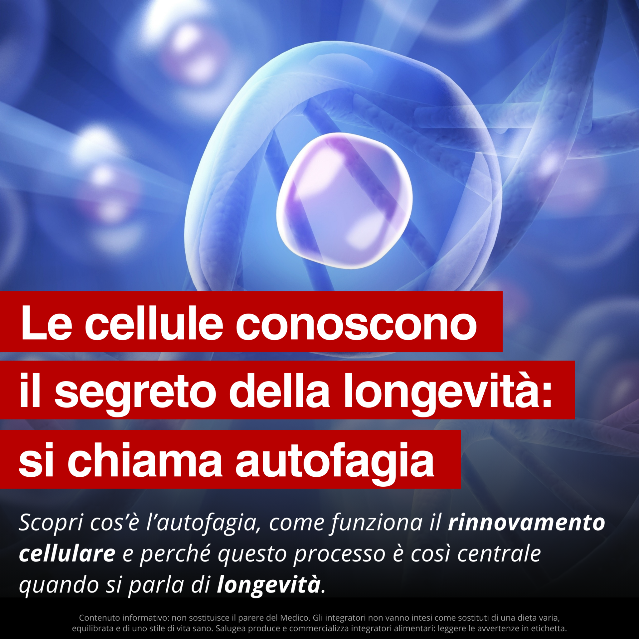 Salugea Facebook ad