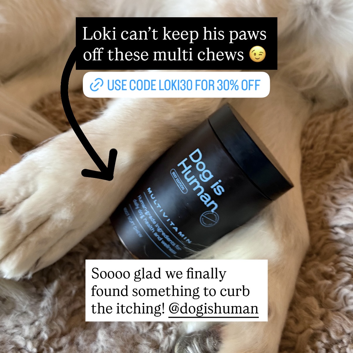 Loki The Floof Facebook ad from Mar 18, 2026