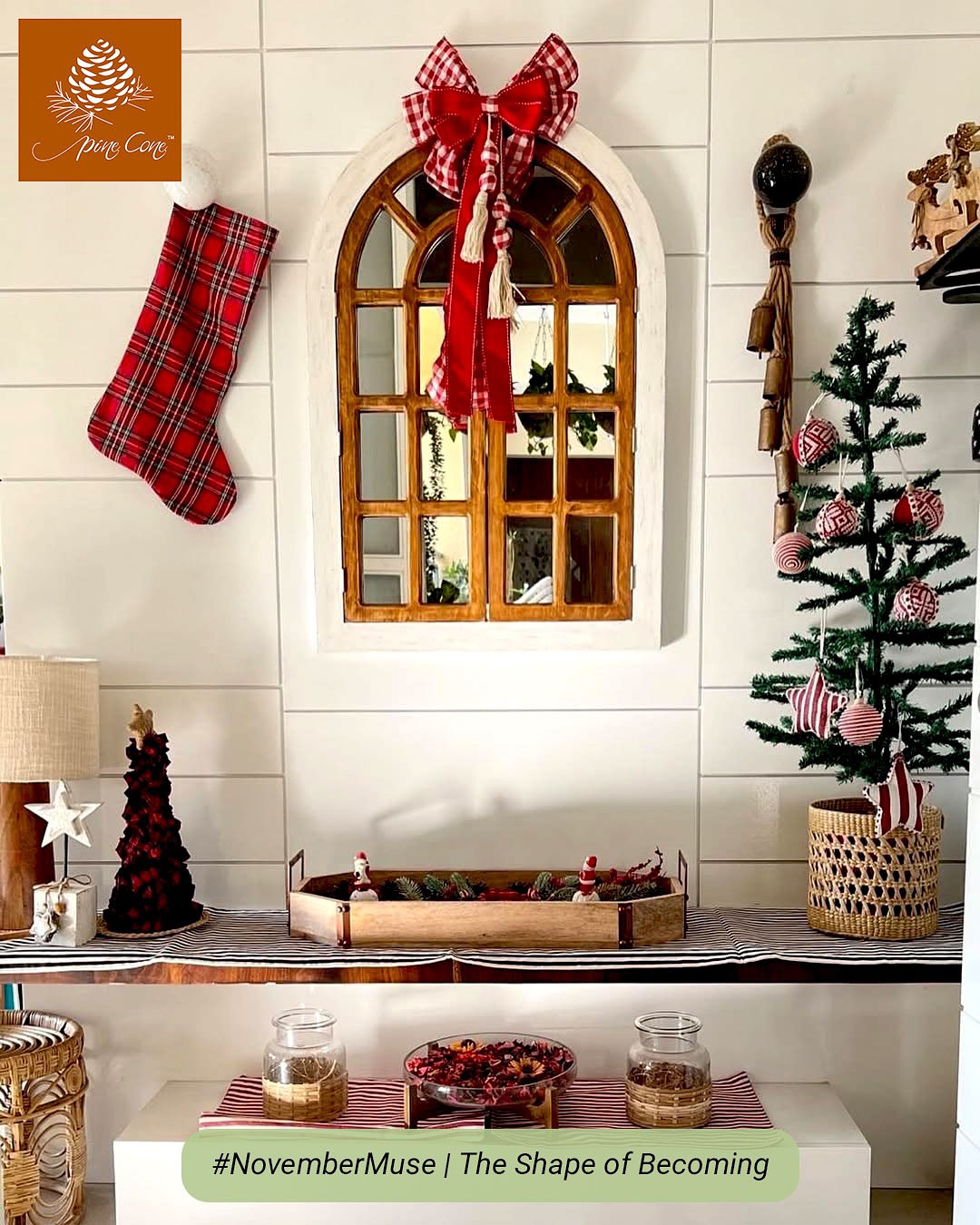 Pine Cone Store Facebook ad