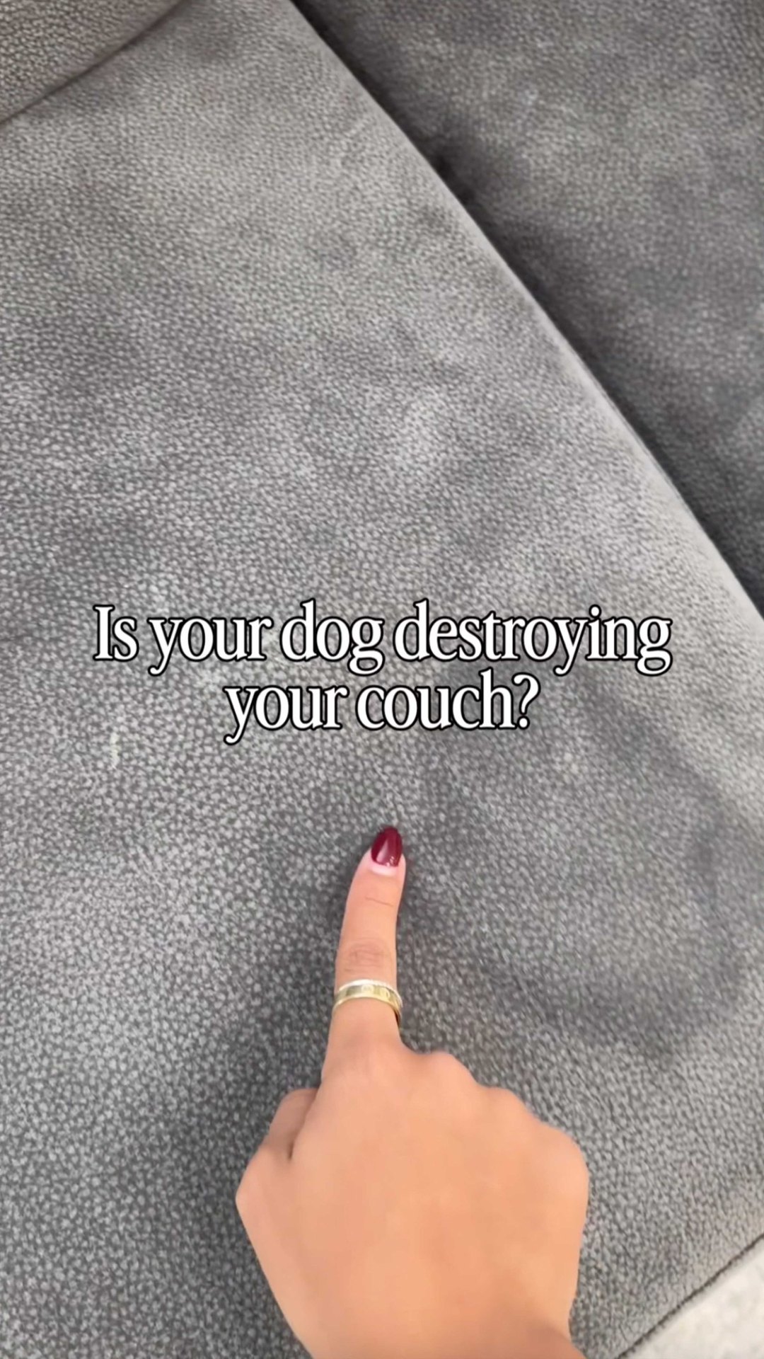 Wilderdog Facebook ad: Wilderdog Waterproof Dog Blanket