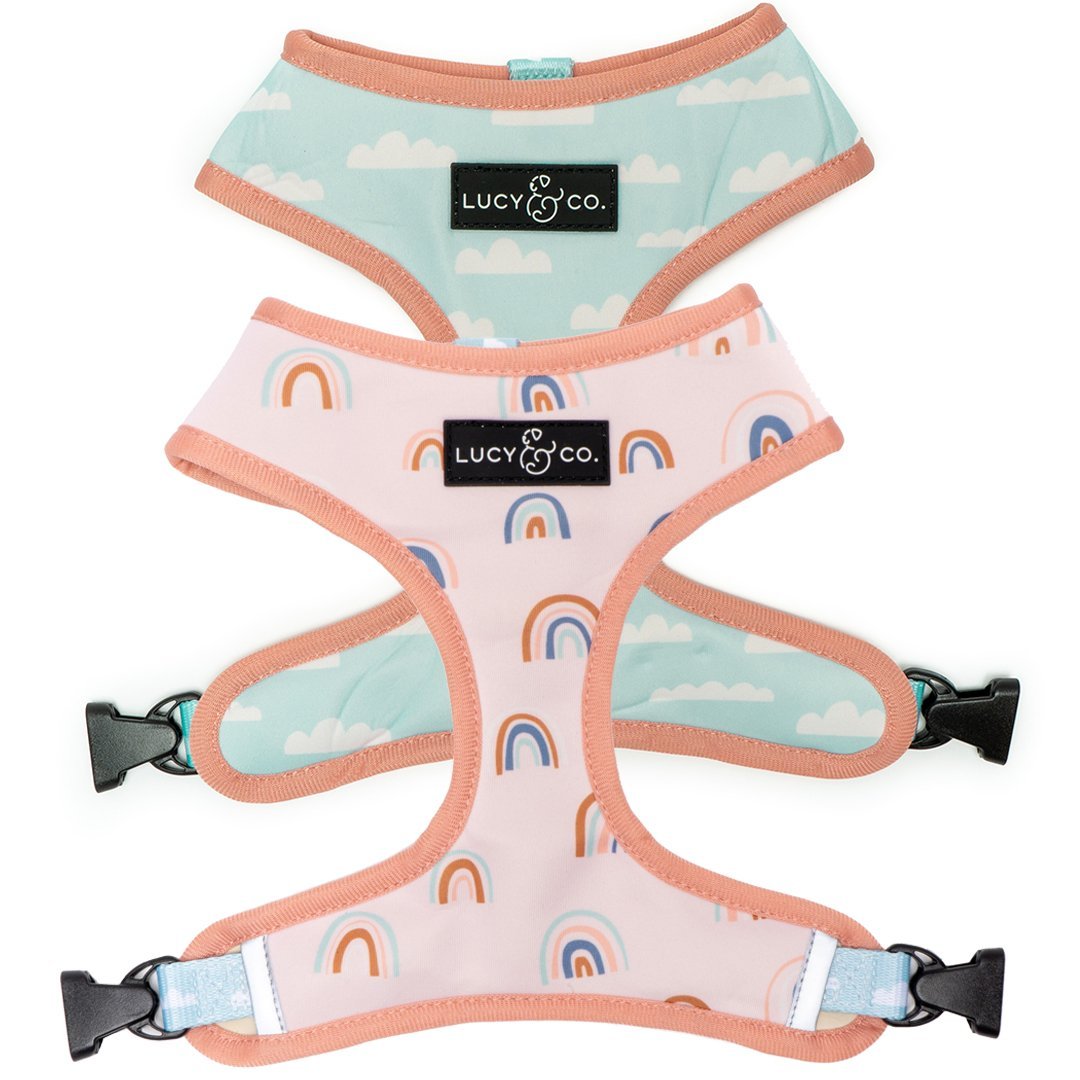 Lucy & Co. Facebook ad