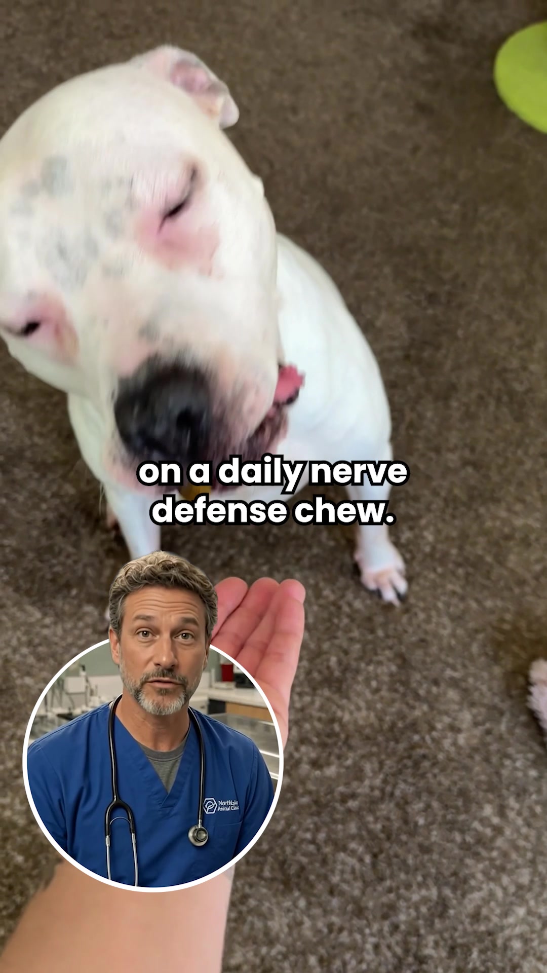 Pets Are Kids Facebook ad: Stop Degenerative Myelopathy Before Symptoms Start