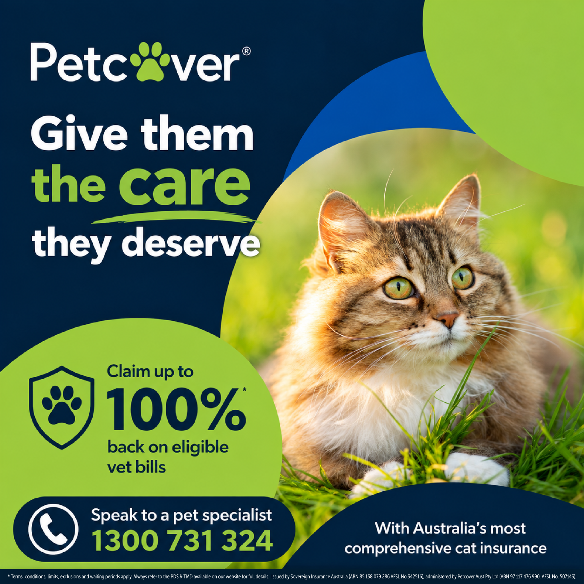 Petcover Australia Facebook ad: Cover your cat with confidence