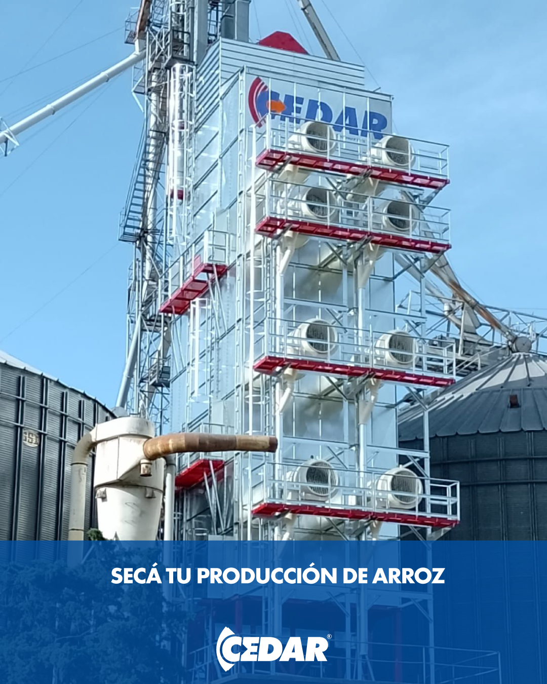 CEDAR S.A. Facebook ad: 46 años de experiencia, acondicionando los granos desde…