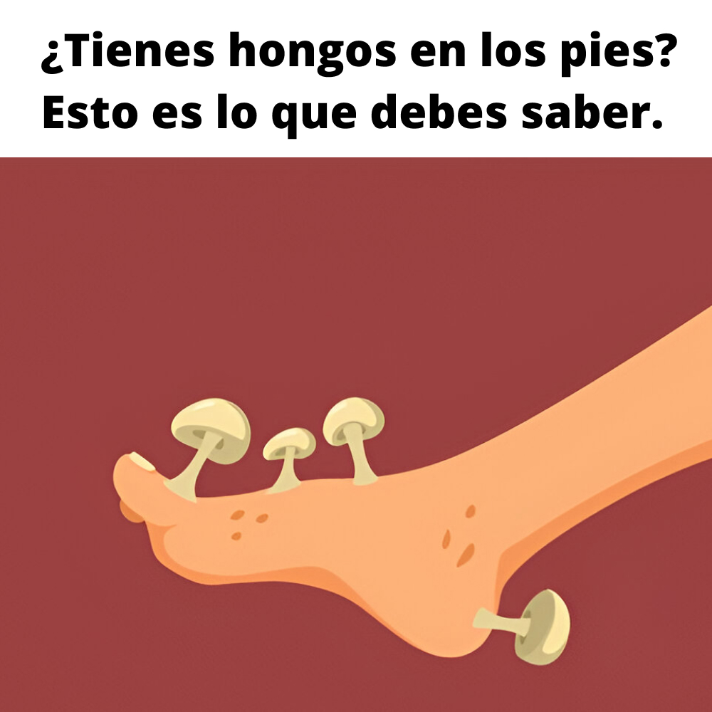 BLOG VIVÉ Facebook ad: PRODUCTO RECOMENDADO