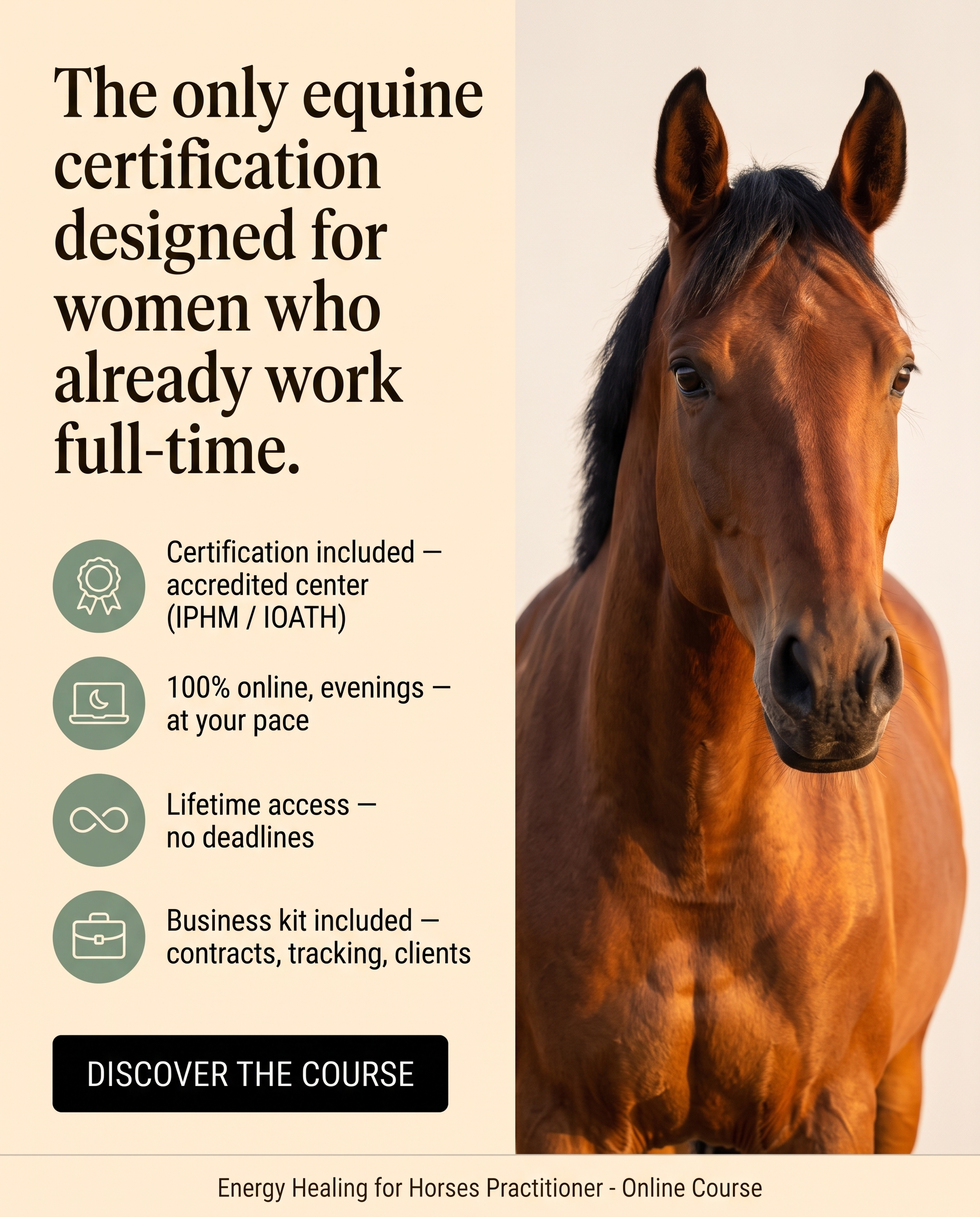 Certified Excellence Facebook ad: Become an Energy Healing for Horses Practitioner