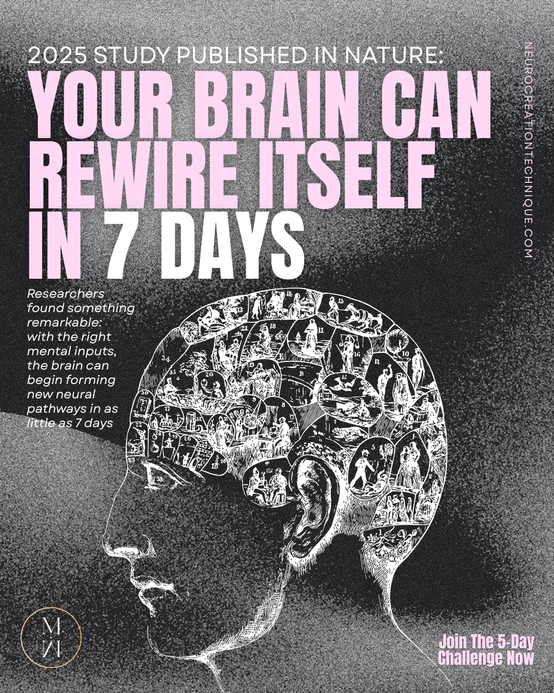 Magnetic Mind Facebook ad from May 6, 2026