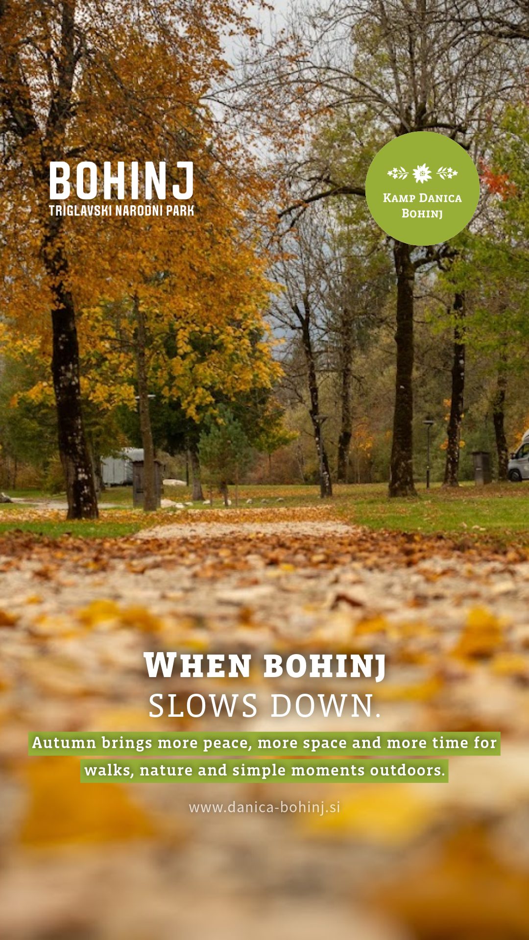 Bohinj Camp Danica Facebook ad: Book your autumn escape in Bohinj