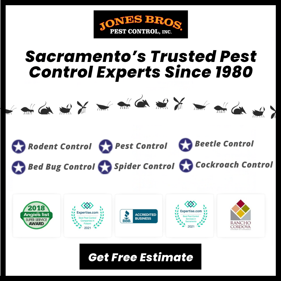 Jones Bros Pest Control, Inc. Facebook ad: Book your spider control today!