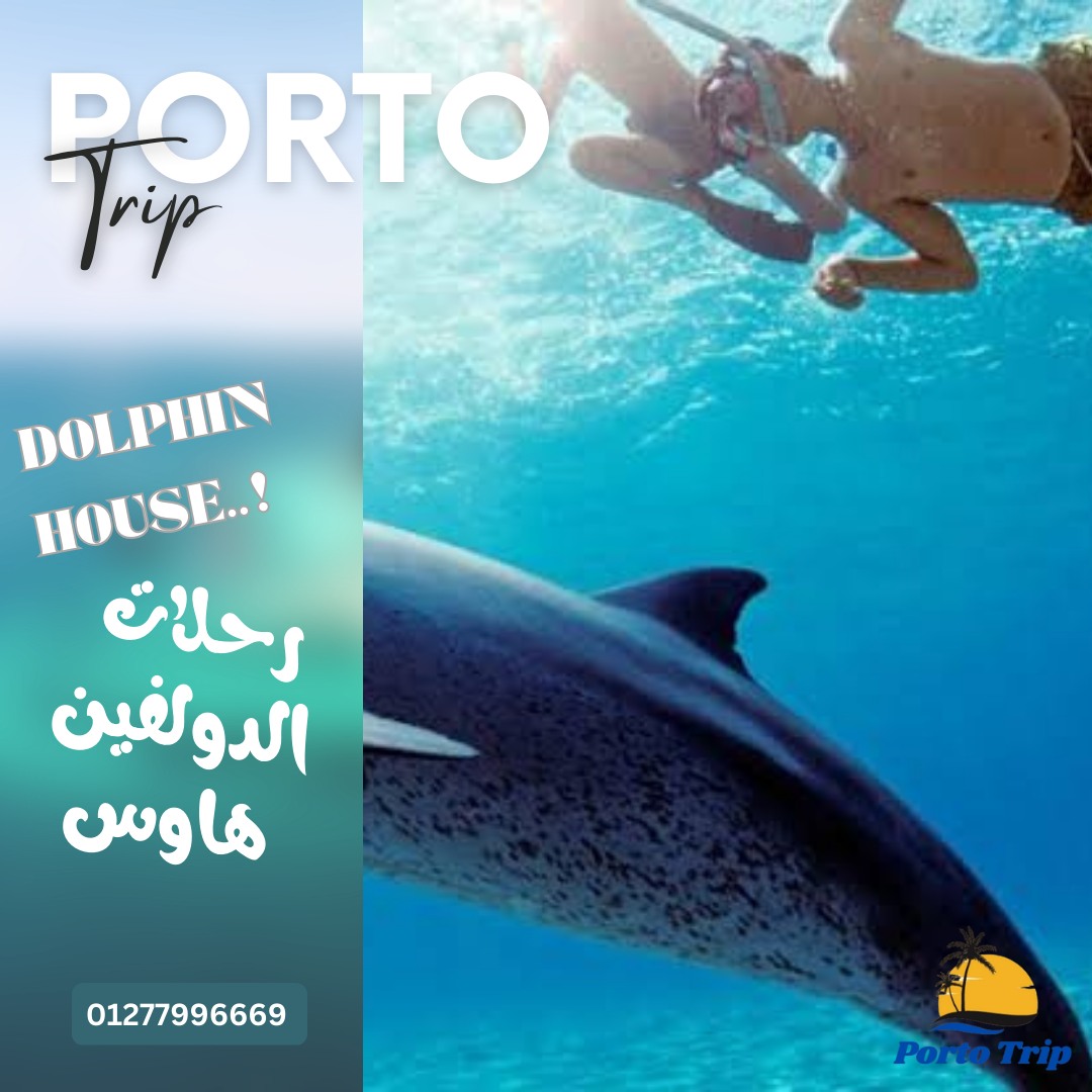 Adventure Masterz - Porto trip Facebook ad: موجود في الغردقة وعايز تطلع رحلة تغير مود…