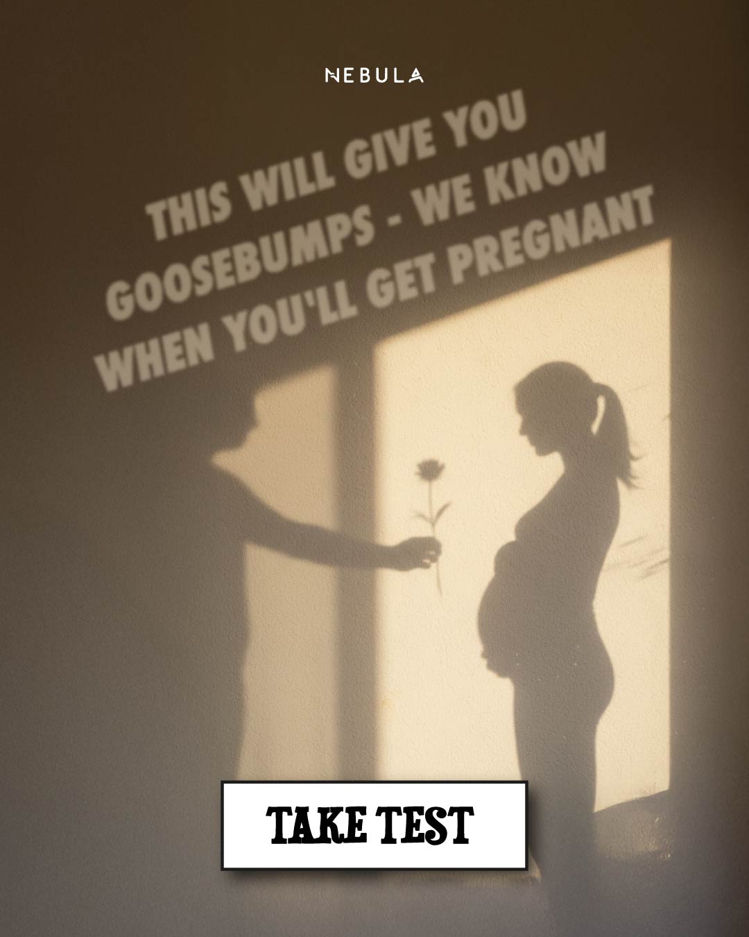 Nebula: Motherhood Facebook ad