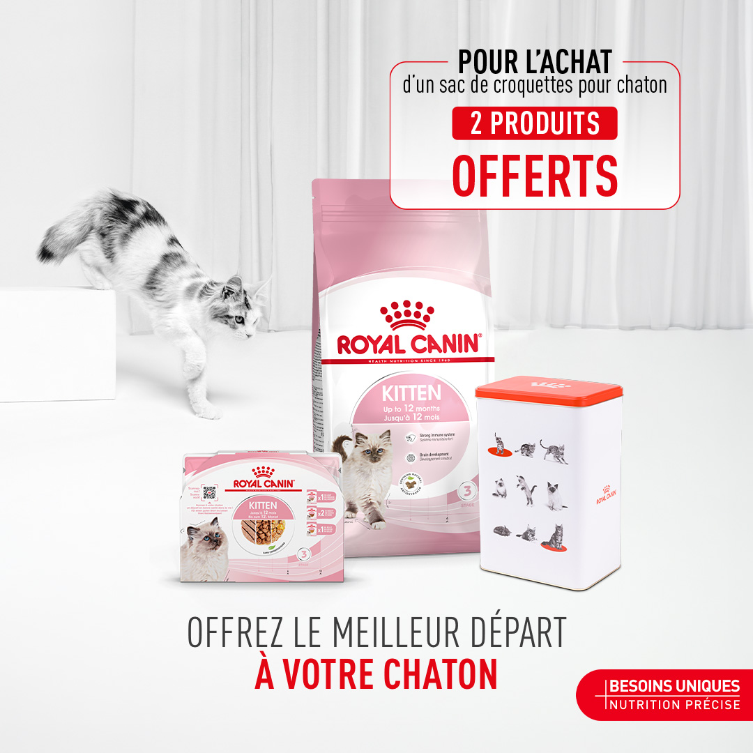 Royal Canin Facebook ad: Profitez de notre offre pour chaton avec 2…