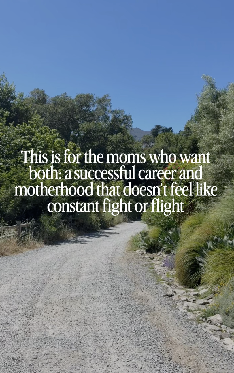 CEO of Motherhood Facebook ad: Career strategy help for high-achieving women