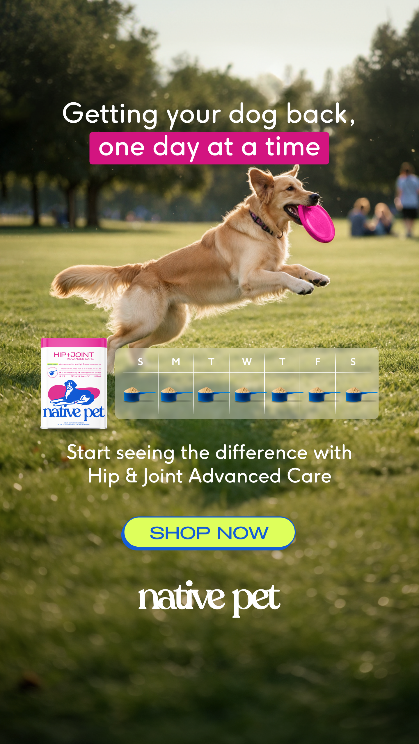 Native Pet Facebook ad