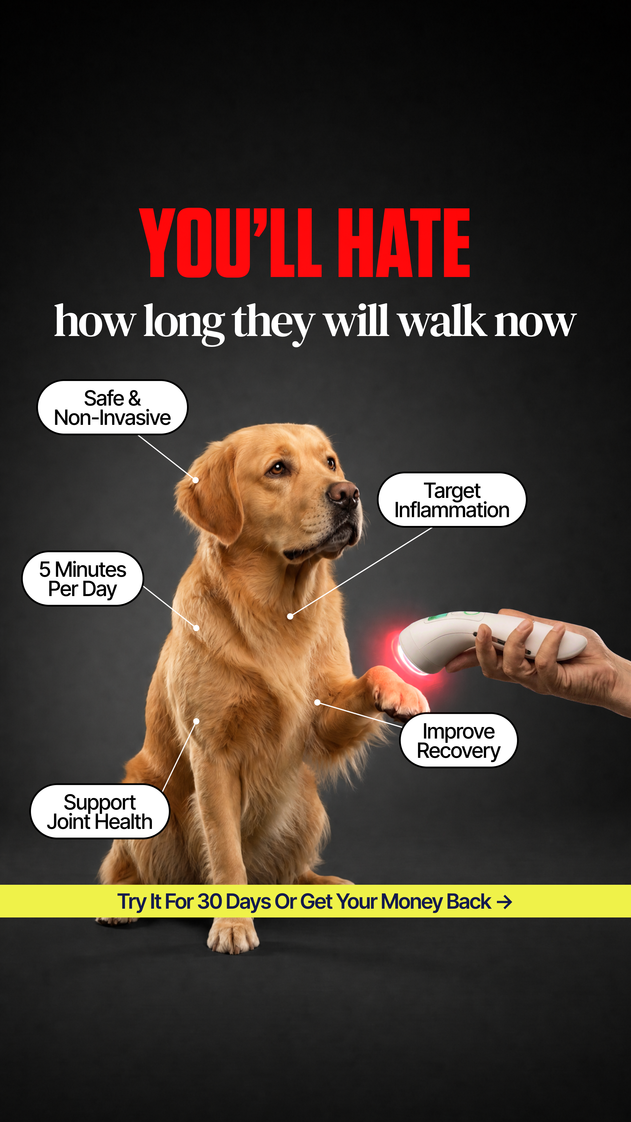 Helio Pet Facebook ad