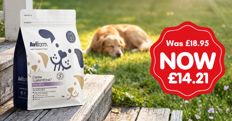 Aviform Nutrition UK - Horse & Dog Facebook ad