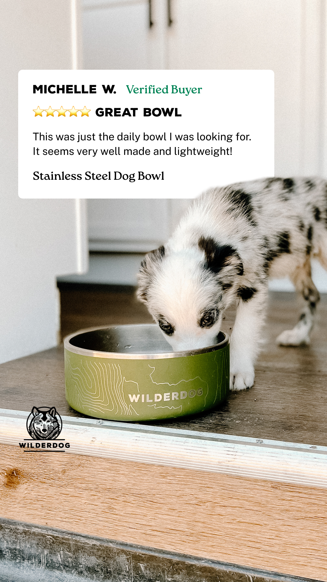 Wilderdog Facebook ad