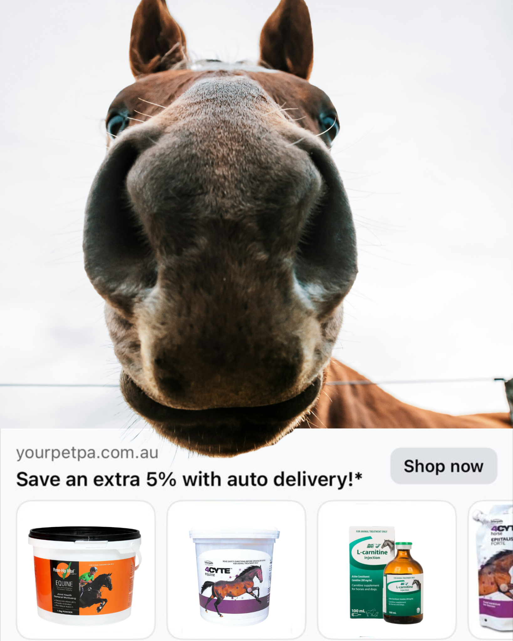 Pet PA Facebook ad