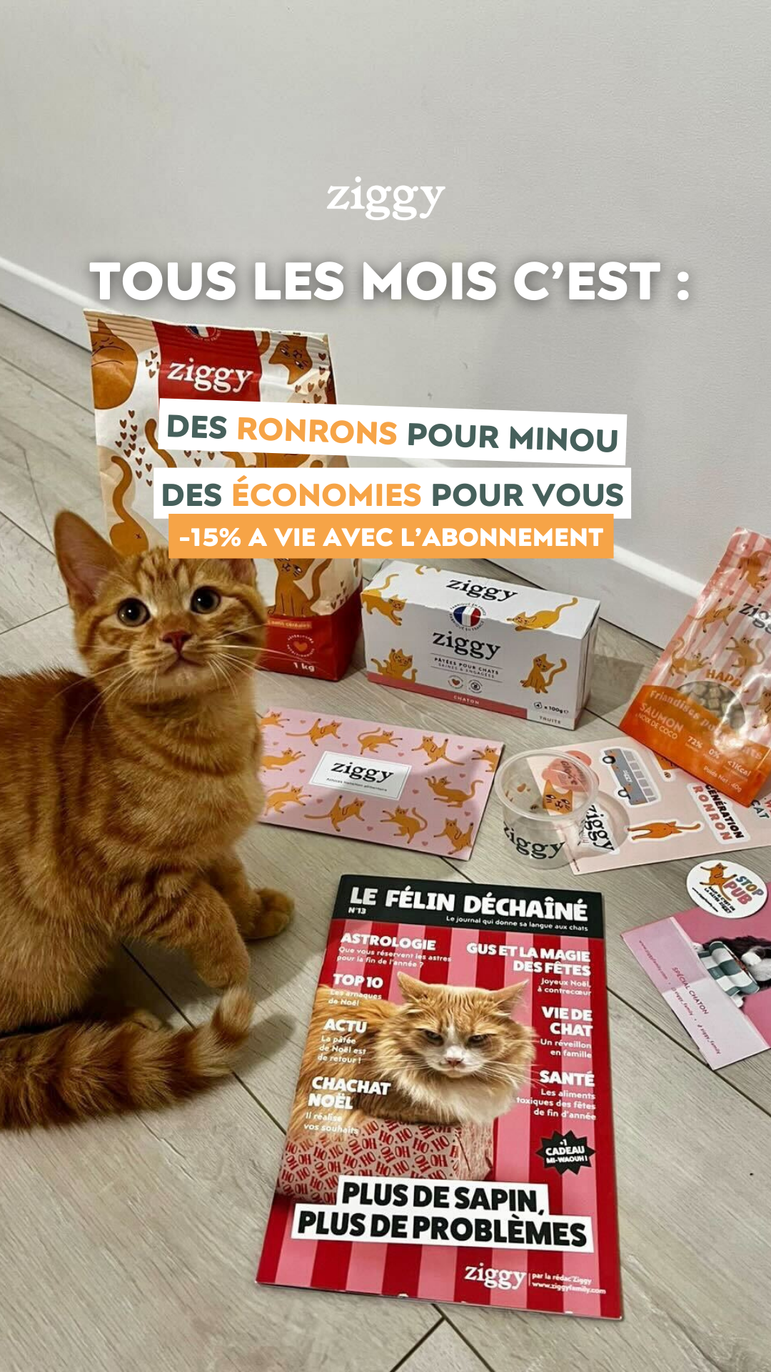 Ziggy Facebook ad
