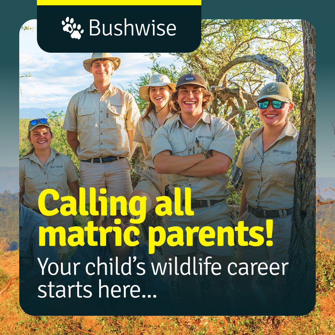 Bushwise Facebook ad