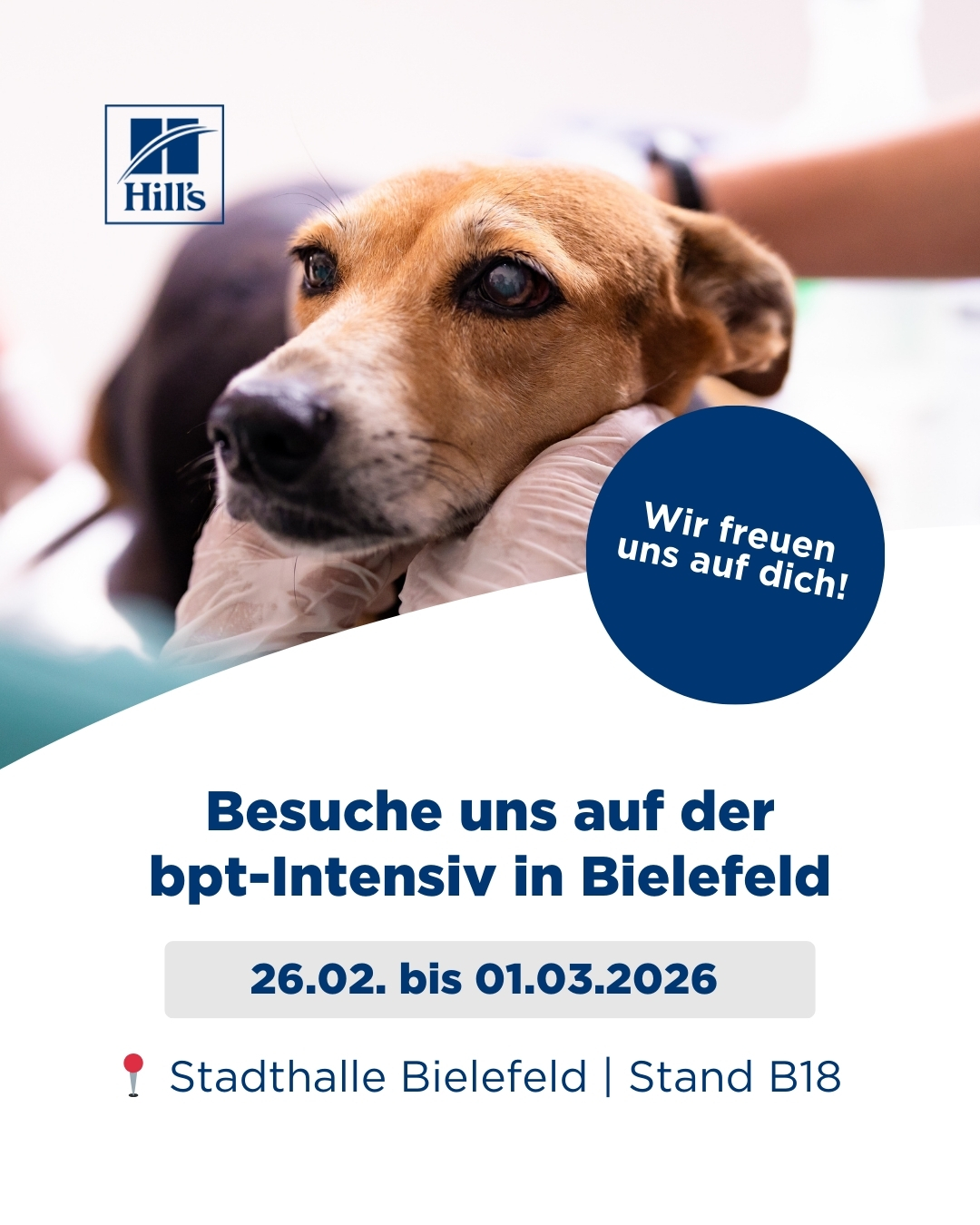 Hill’s Pet Nutrition Facebook ad: Es ist wieder soweit: Die bpt-Intensiv Fachmesse steht…