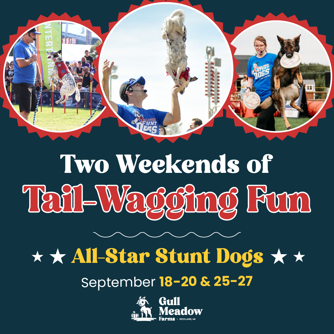 Gull Meadow Farms Facebook ad: All Star Stunt Dog Show @ Gull Meadow Farms