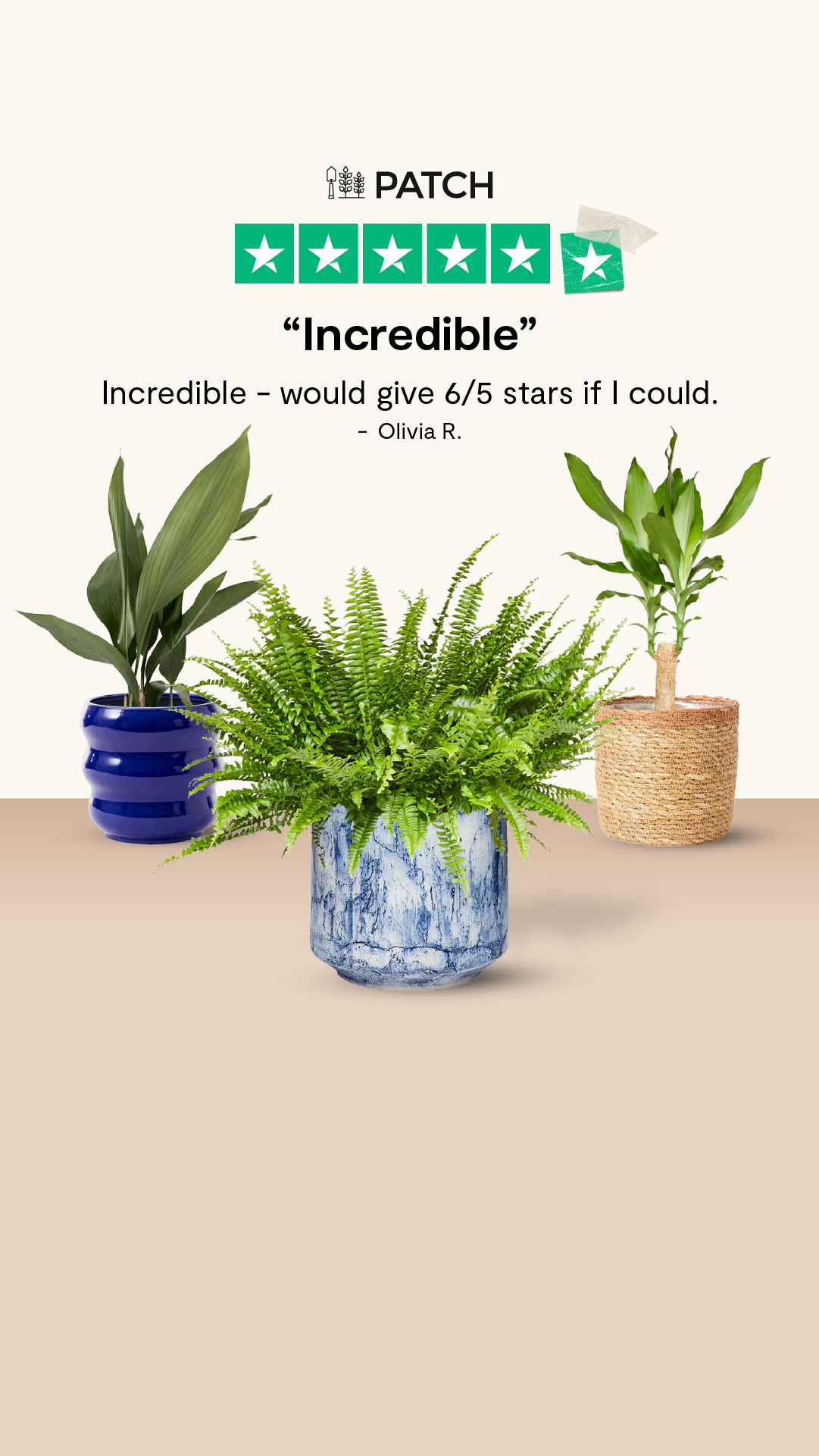 Patch plants Facebook ad
