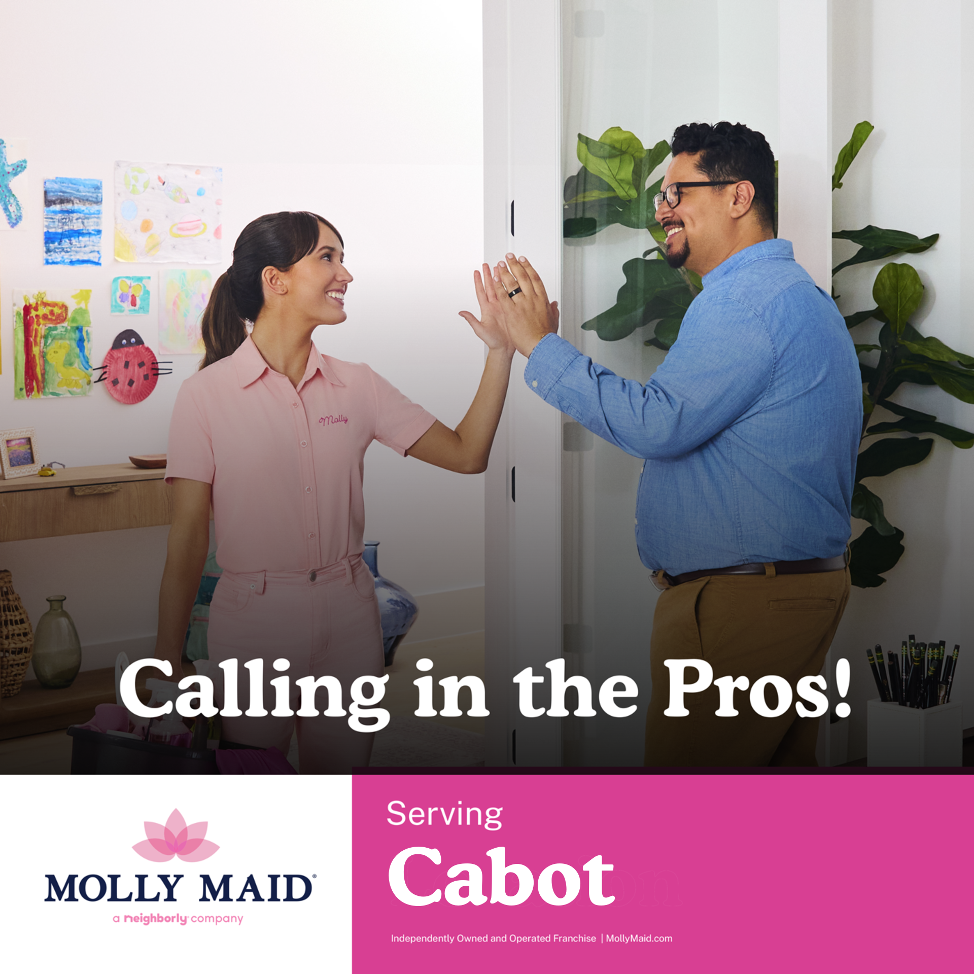 MOLLY MAID of Greater Little Rock Facebook ad