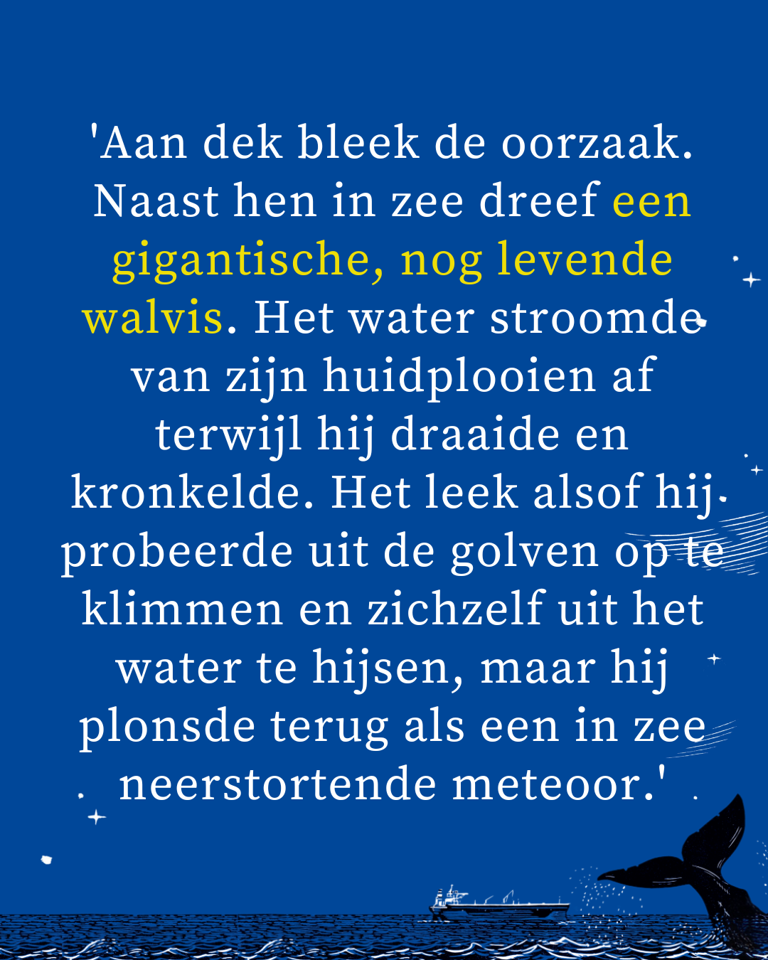 LS Amsterdam Facebook ad