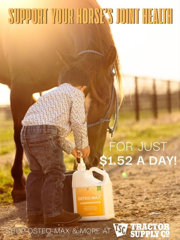 100X Equine Facebook ad
