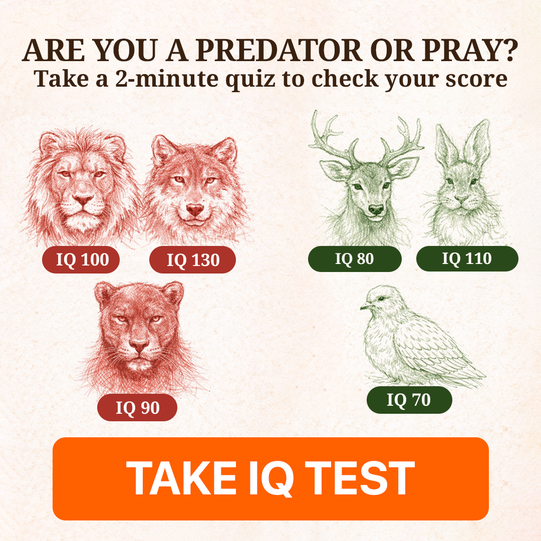 My IQ Facebook ad