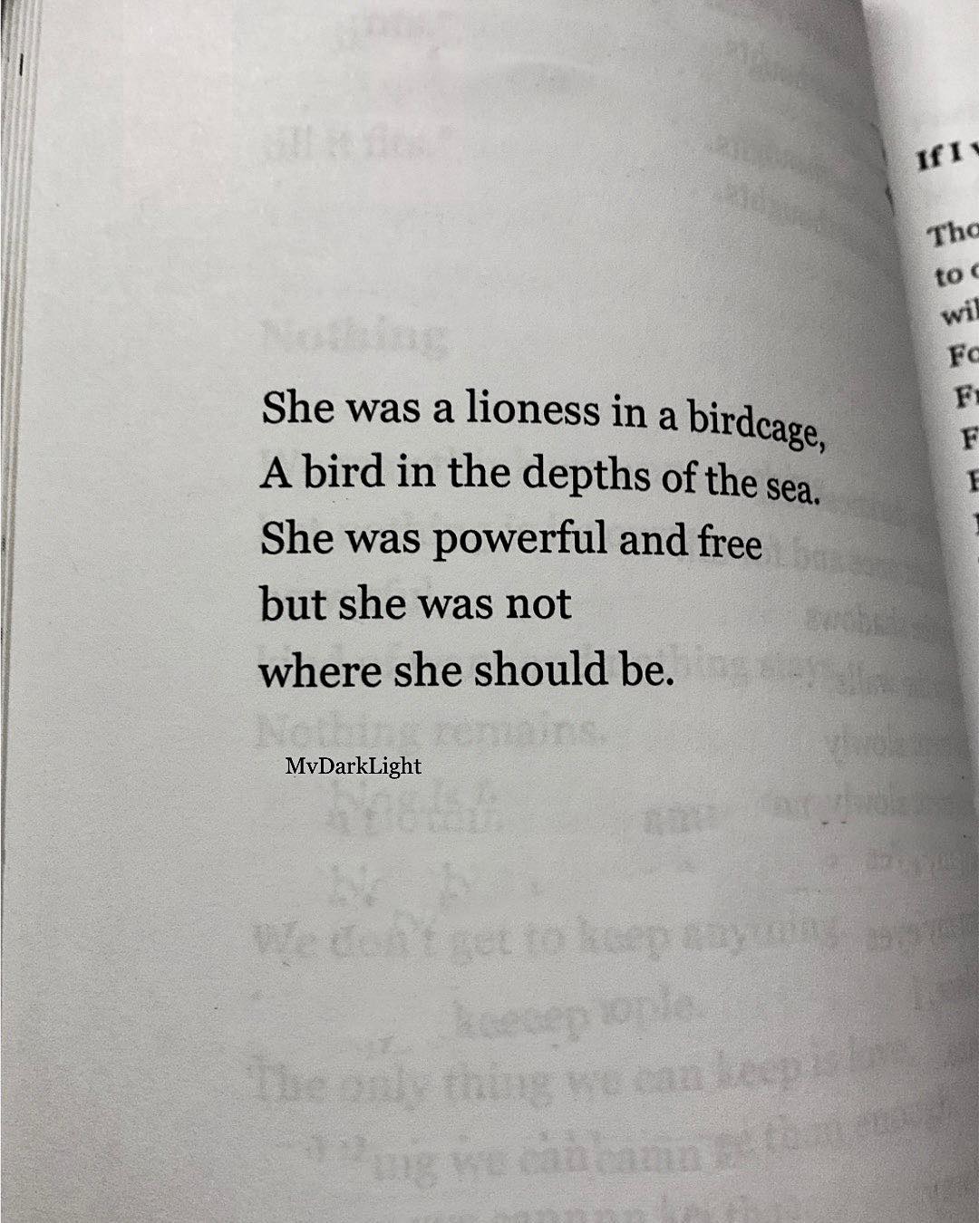 Mvdarklight Facebook ad: From The Philosopher of Fools by @MvDarkLight