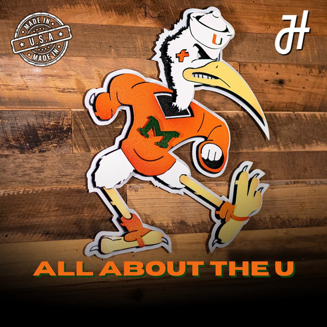 Hex Head Art Facebook ad: Handcrafted for Canes Fans