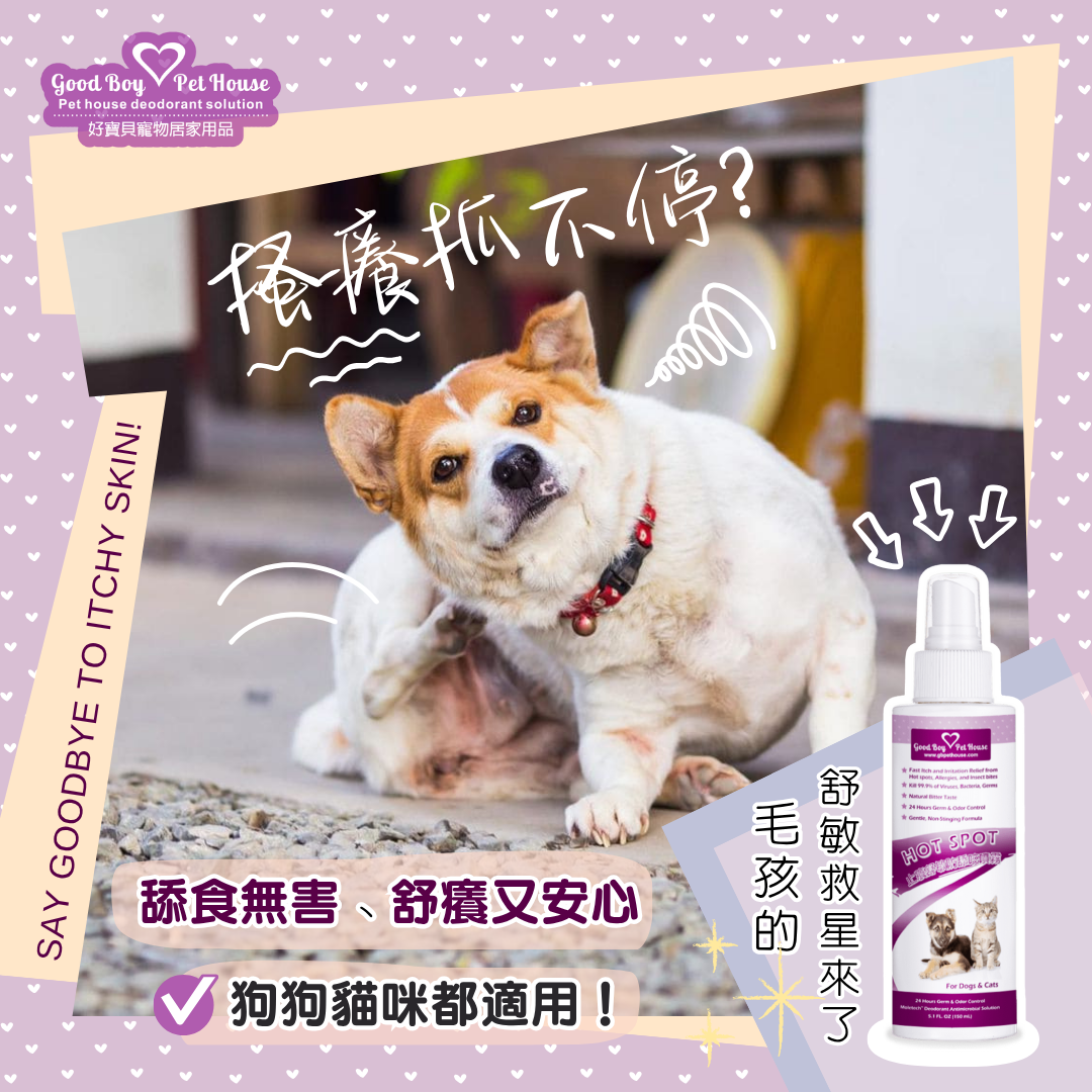 GBPH好寶貝寵物居家用品 Facebook ad from Jun 17, 2026