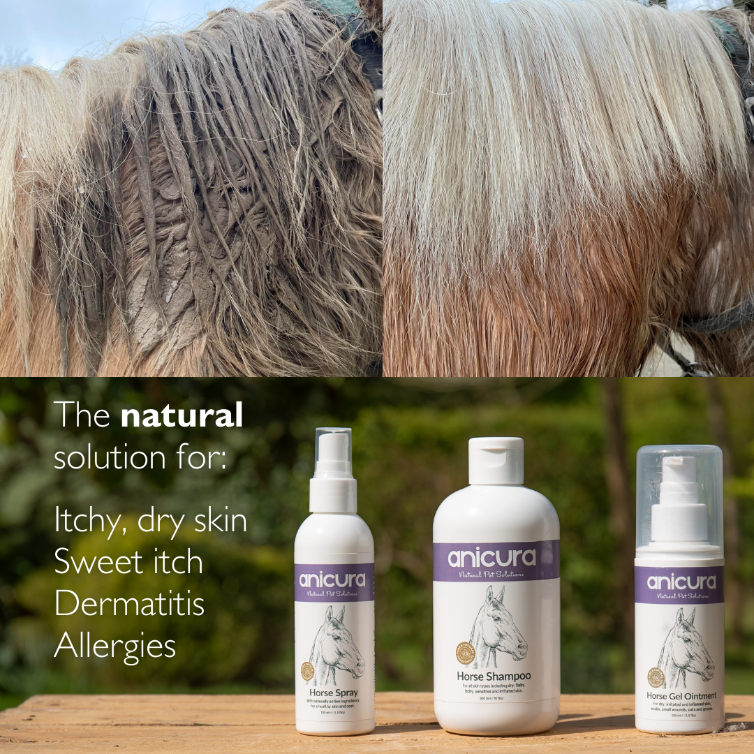 Anicura Natural Pet Solutions Facebook ad