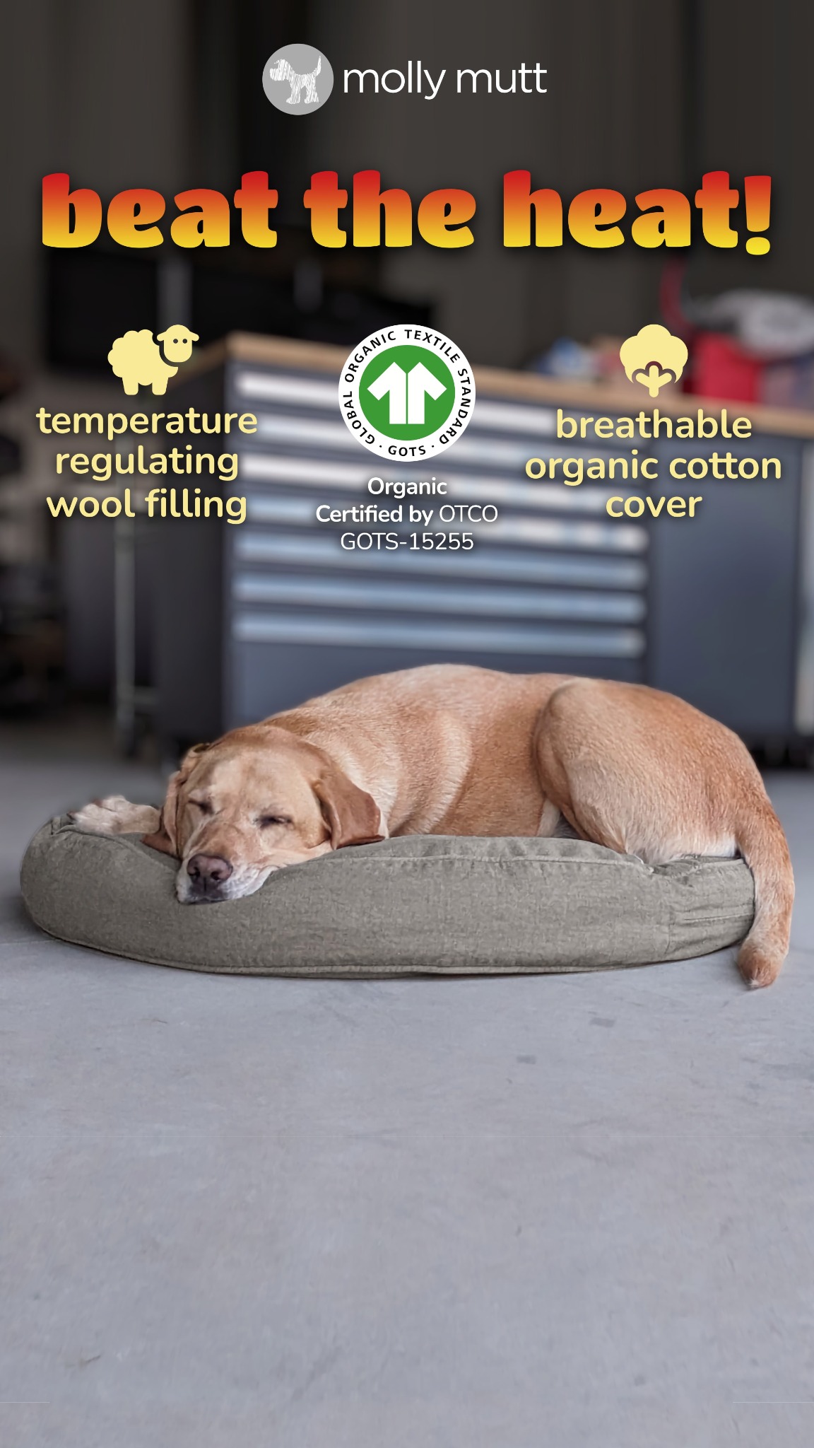 Molly Mutt Facebook ad