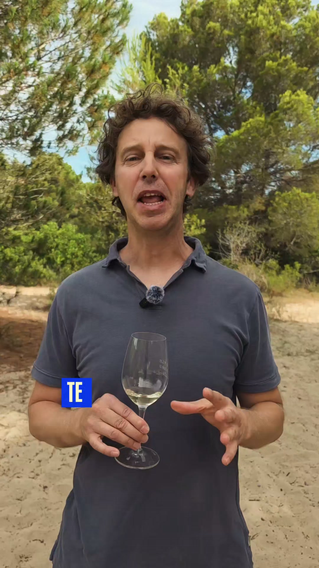 Tu Sommelier Facebook ad: ¿Te imaginas a un francés ganando el concurso…